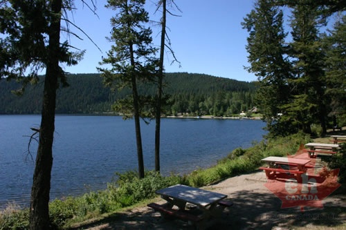 Picnic Tables