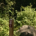 Tral Marker
