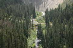 Trail Bridge
