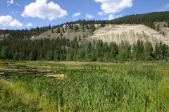 Wetlands