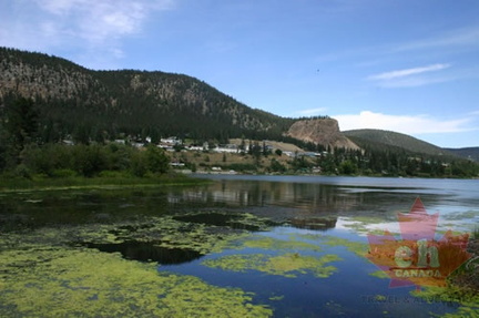 Estuary