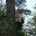 Bird Houses