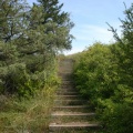 Steps to Lookout