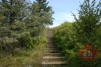 Steps to Lookout