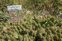 nature_house_interpretive_signs 002.jpg