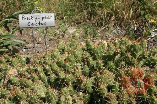 nature_house_interpretive_signs 002.jpg