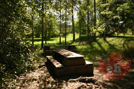Picnicking in Private