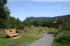 sitting_bench.jpg