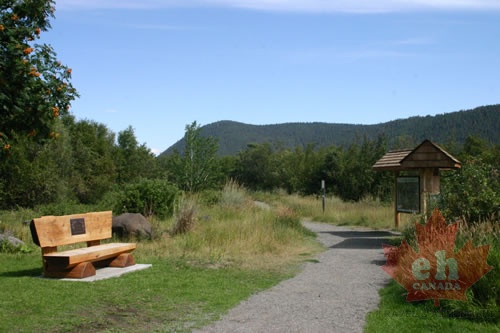 Walking Path
