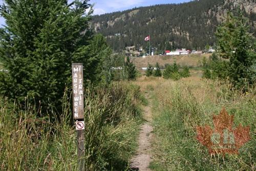 Marsh Wren Nature Trail