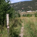 Marsh Wren Nature Trail
