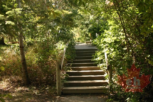 Nature Trails