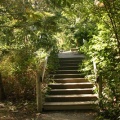 Nature Trails