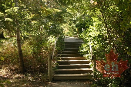 Nature Trails
