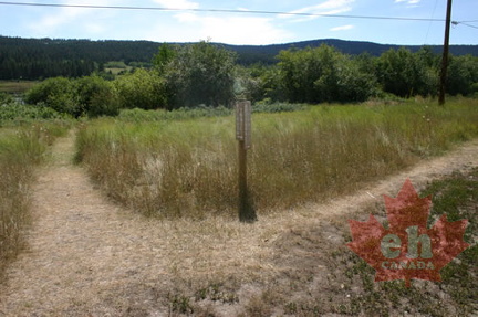 Fork in the Path