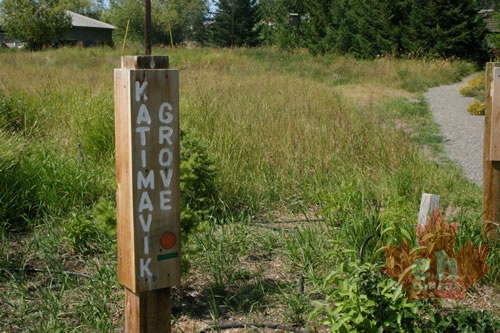 Katimavik Grove