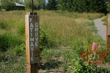 Katimavik Grove