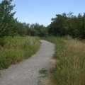 Island Trail