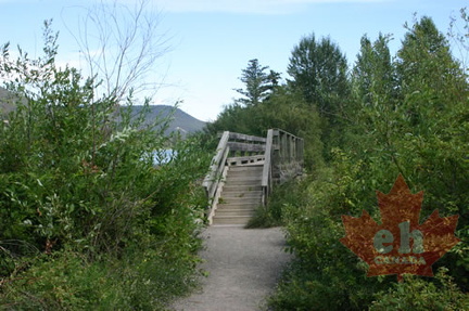 Trail Bridge
