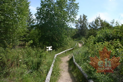 Nature Trail