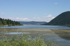 wetlands 001.jpg
