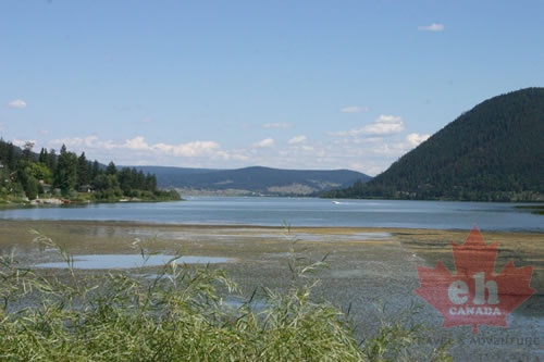 Estuary Lands