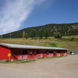 Stampede Grounds