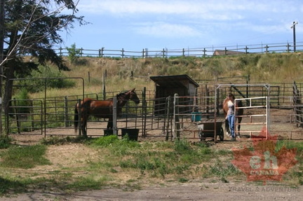 Horse Fencing