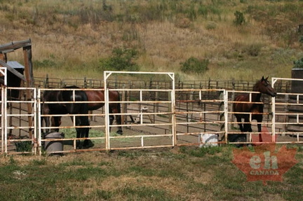 Fenced for Now