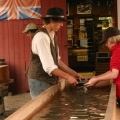 Gold Panning