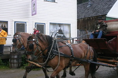 Carriage Tours