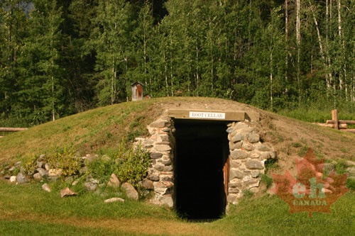 Cellar