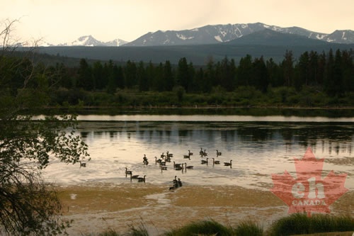 Tatla Lake