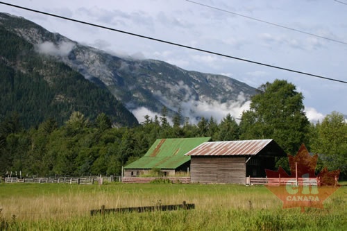 Buildings and Fields