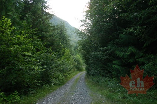 Gravel Road