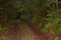 Hiking Trail
