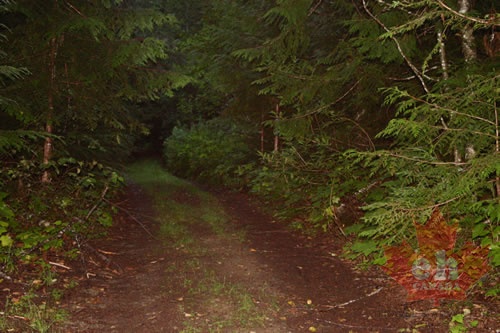 Hiking Trail