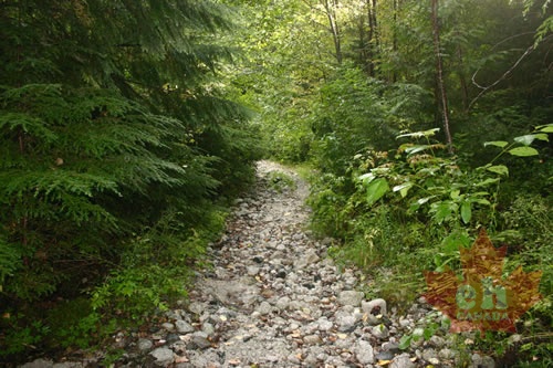 Snooka Creek Trail