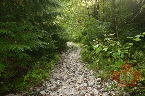 Hiking Trail