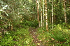 South Loop Hiking Trail