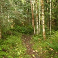 South Loop Hiking Trail