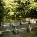 Fish Hatchery
