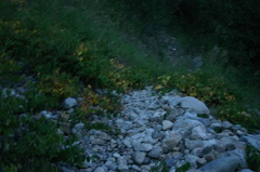 Rocky Path