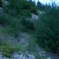 trail 003