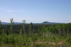 Mountain Views
