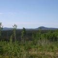 Mountain Views