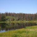 Wetlands