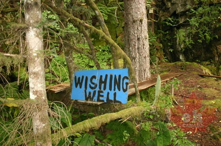 Wishing Well Sign
