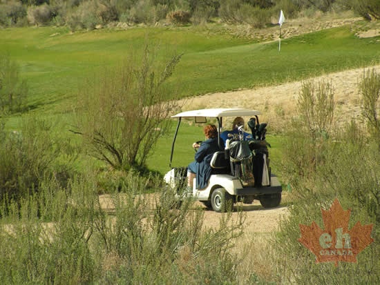 Golf Cart