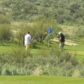 Putting